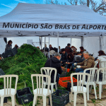 Pascoa - Ajuda para a festa das tochas floridas