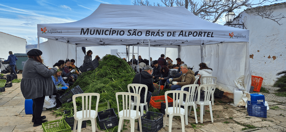 Pascoa - Ajuda para a festa das tochas floridas